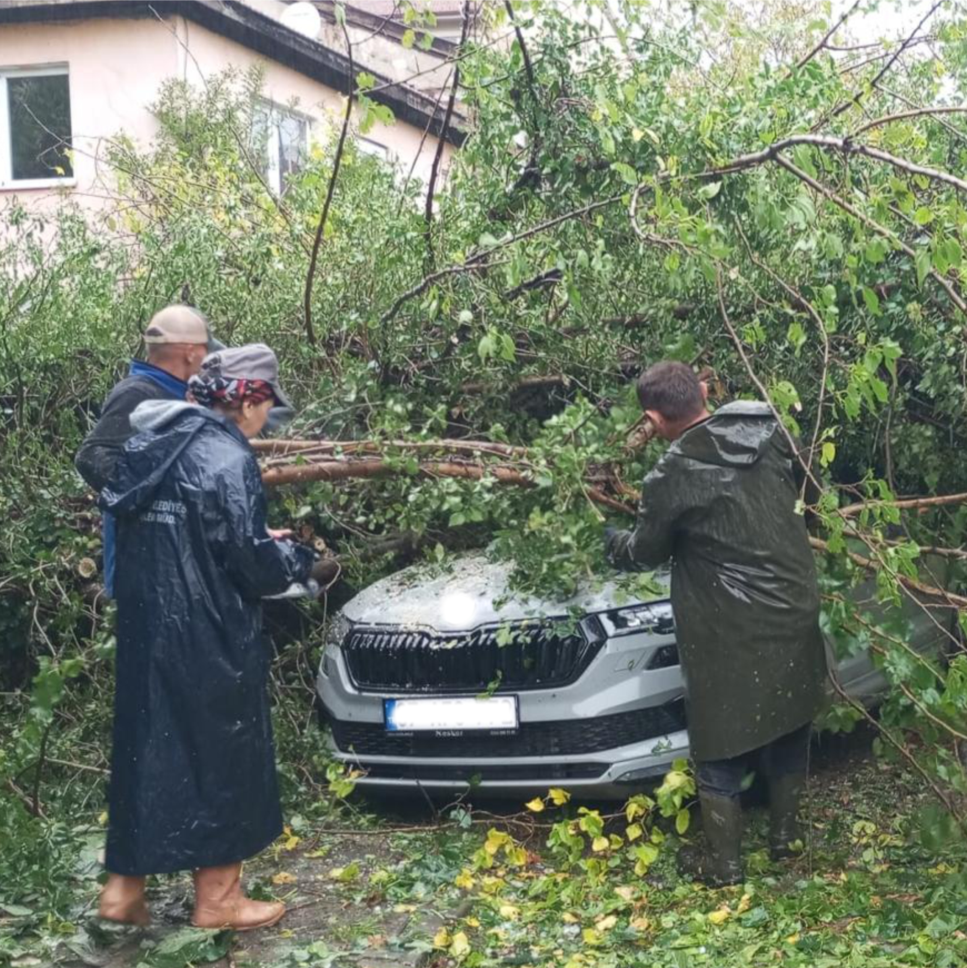 557607997 1290192956469156 1840586479774542828 N