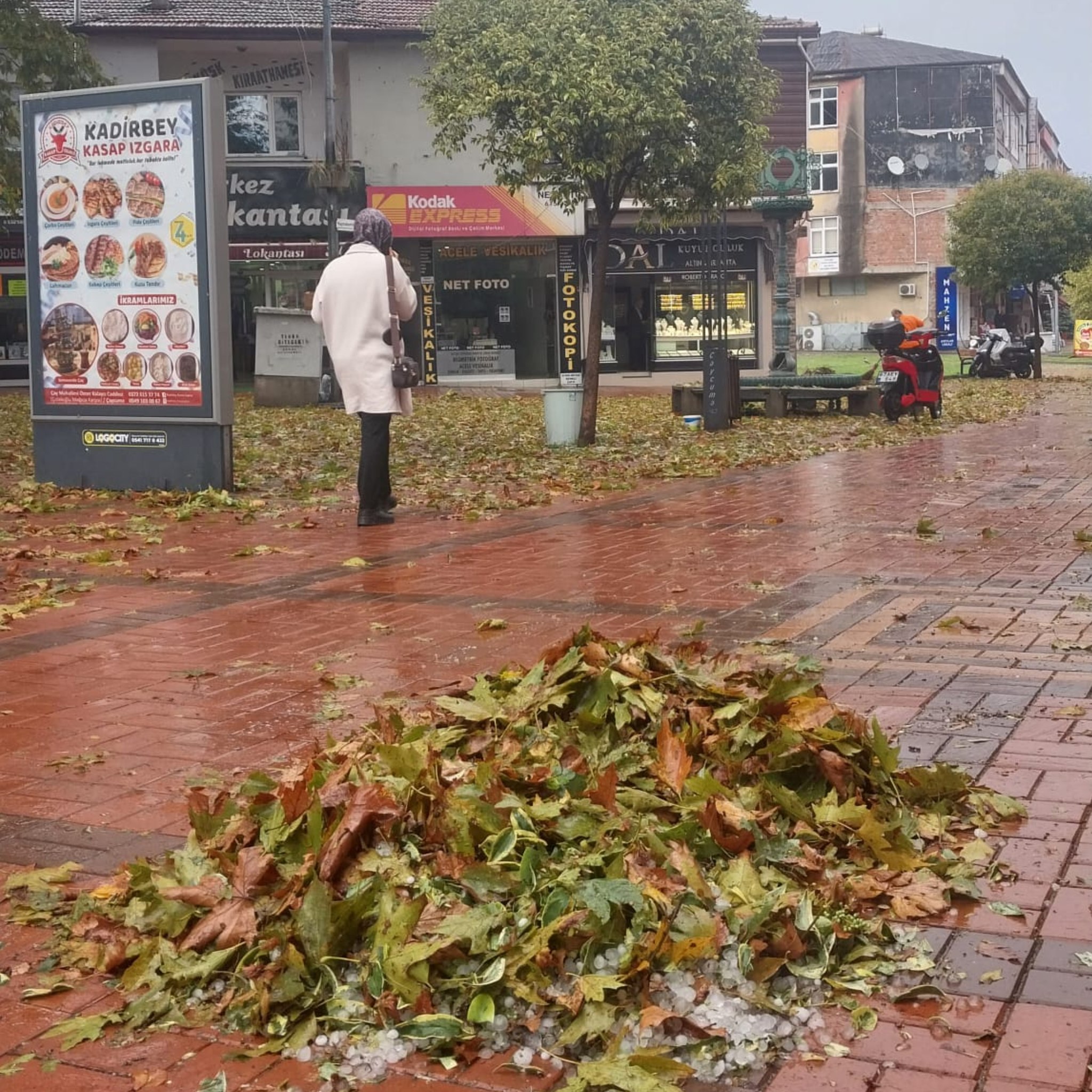 558210052 1290193136469138 4089578303179688613 N