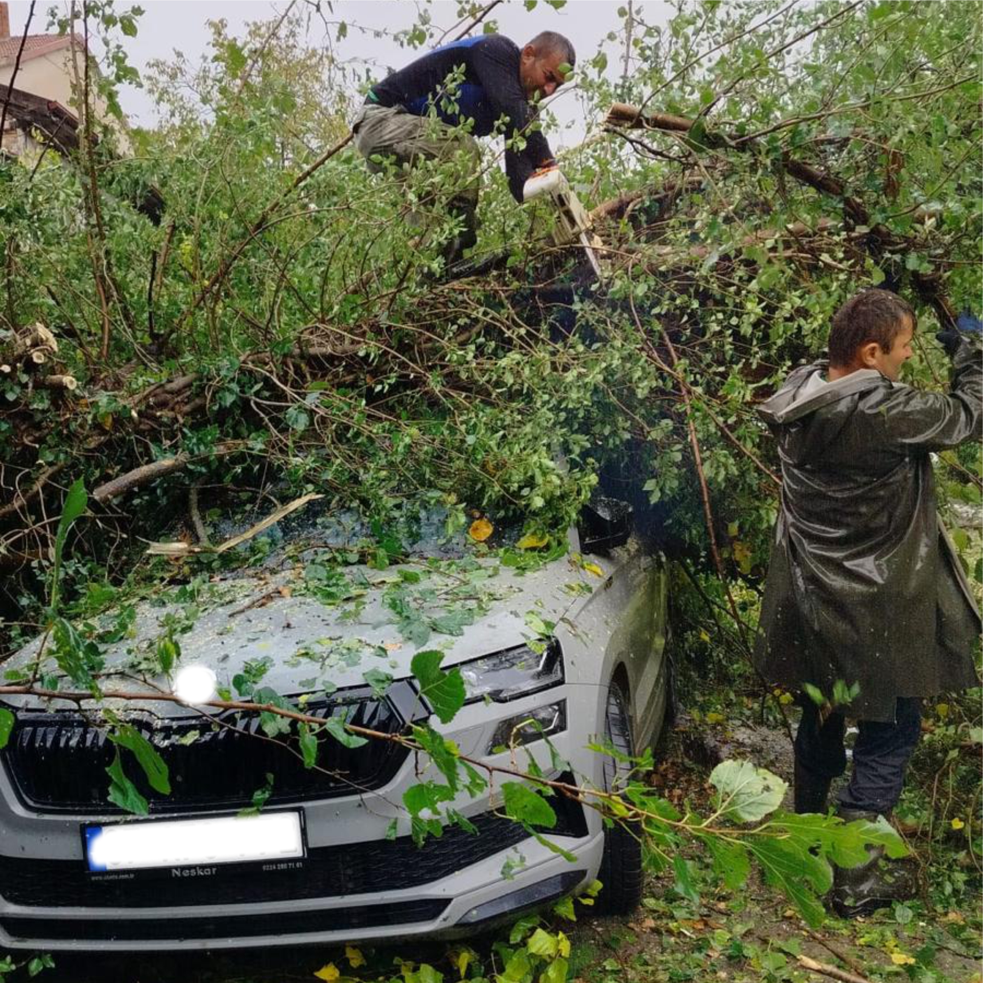 558884399 1290192893135829 3112185491038328342 N