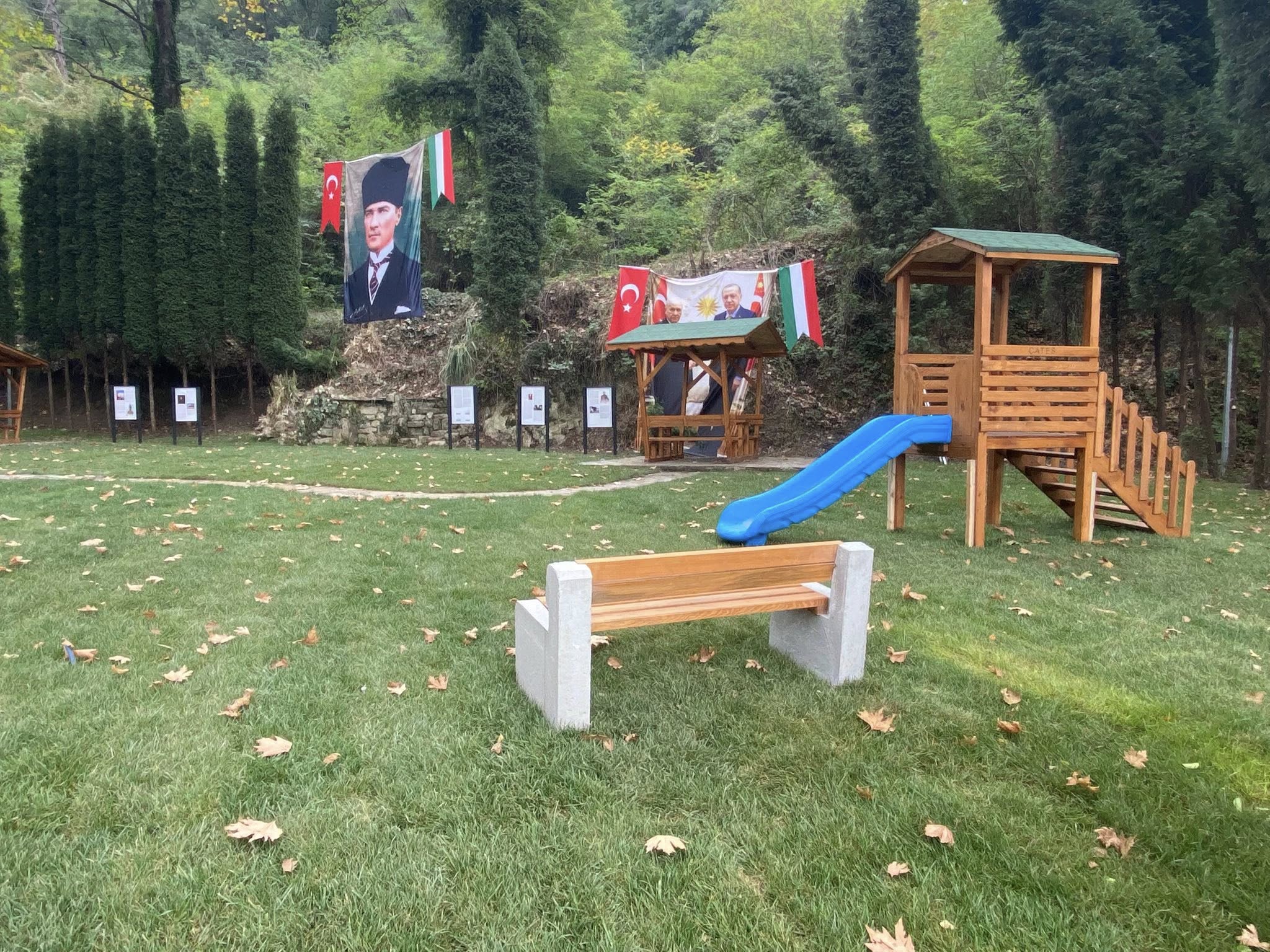 559005351 1560348941602950 1137567764463785841 N