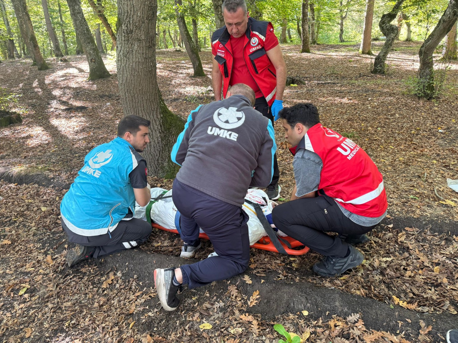 Whatsapp Image 2025 10 07 At 12.18.31