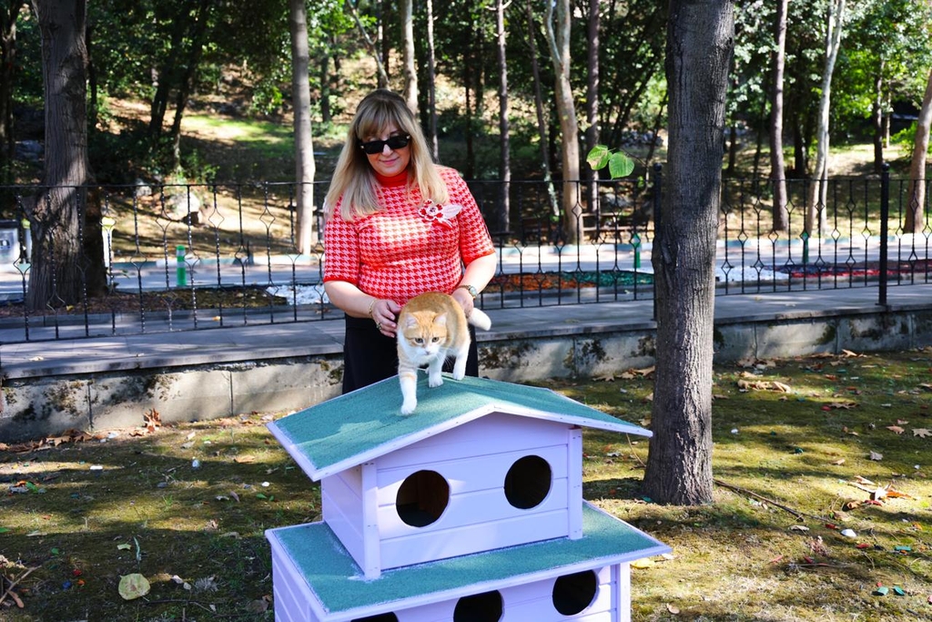 Whatsappimage20251007At13.02.581