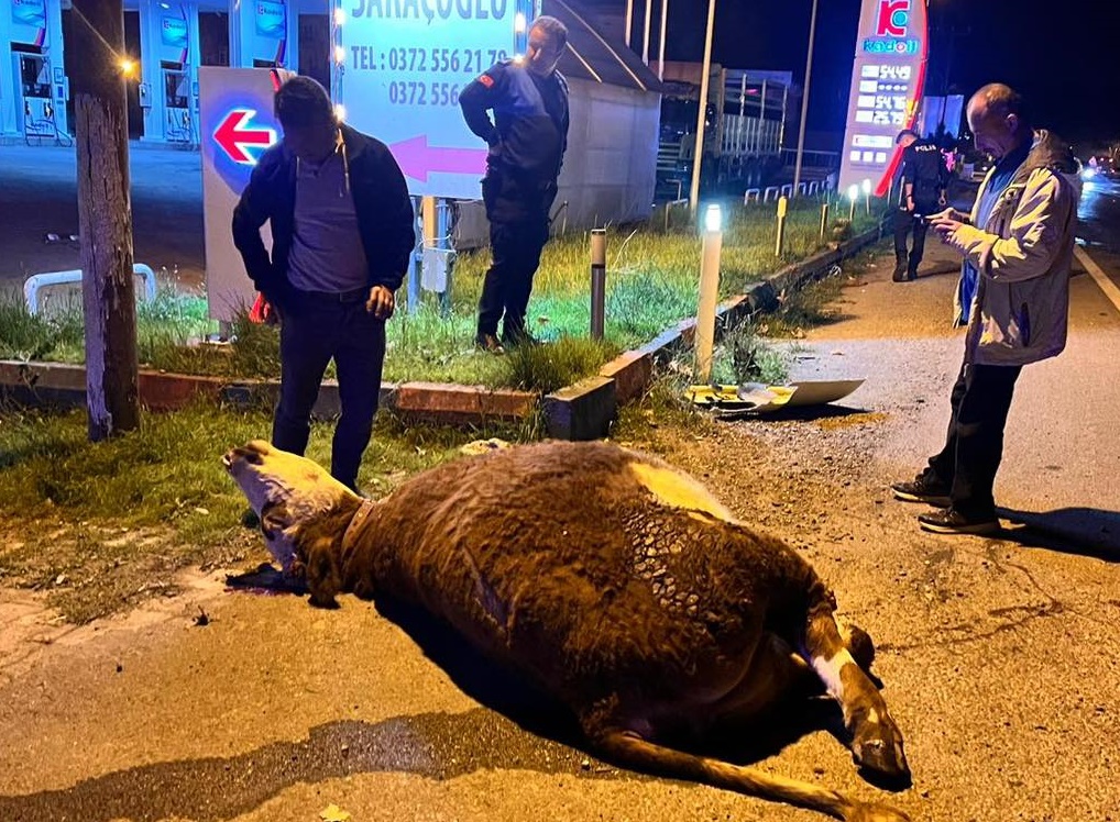 578265524 1461497495983363 622505579187692918 N