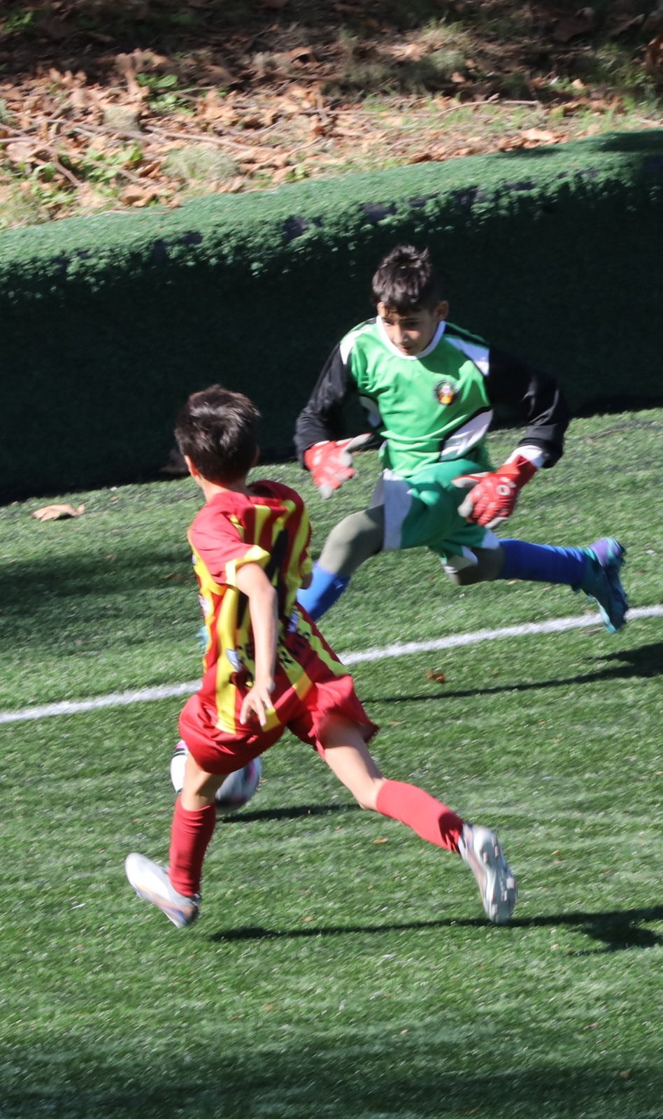 Whatsapp Image 2025 11 03 At 15.46.02 (1)