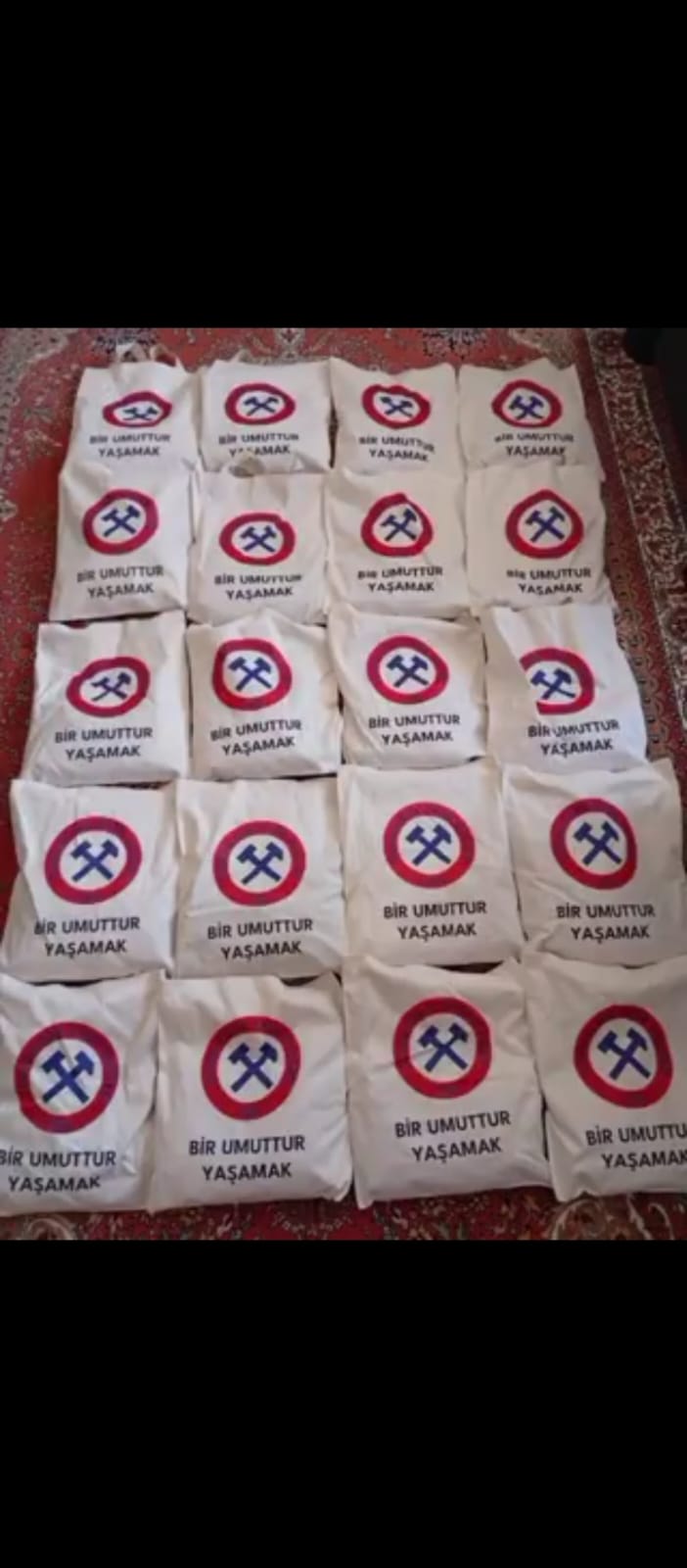 Whatsapp Image 2025 11 08 At 20.27.47 (1)