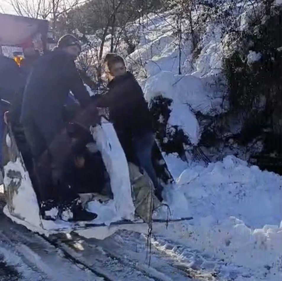 605528964 1291790422981749 2142966986092612649 N