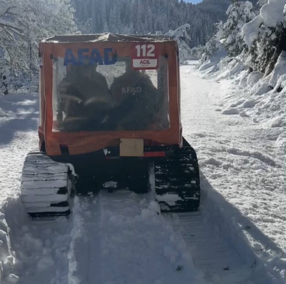 607166312 1291790382981753 1768770346044103761 N