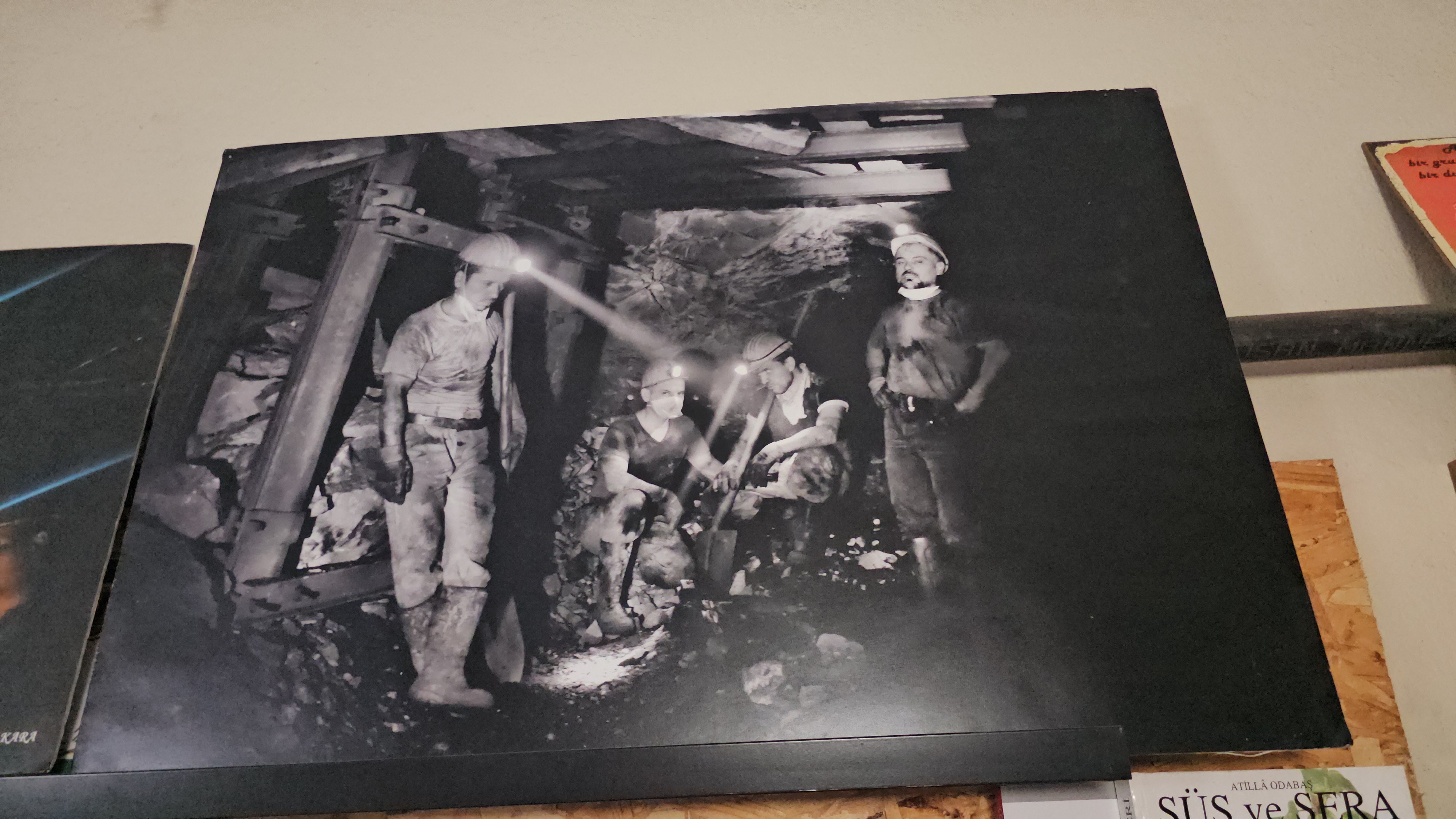 E M E K L I M A D E N C I C E K T I G I F O T O G R A F L A R L A M E 1046496 310536