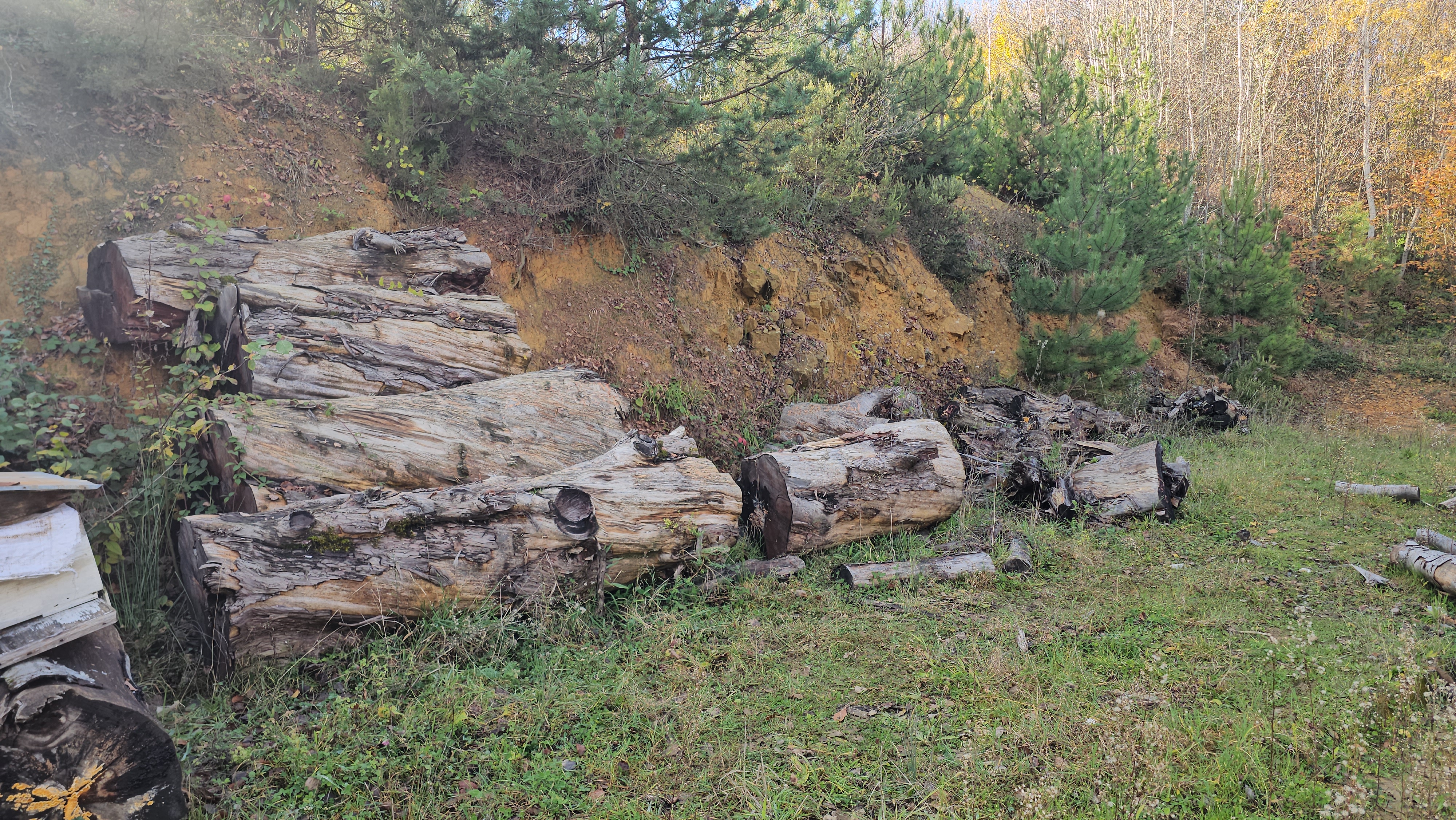 K E S I L E N 1183 Y A S I N D A K I P O R S U K A G A C I O D U 1069861 317473