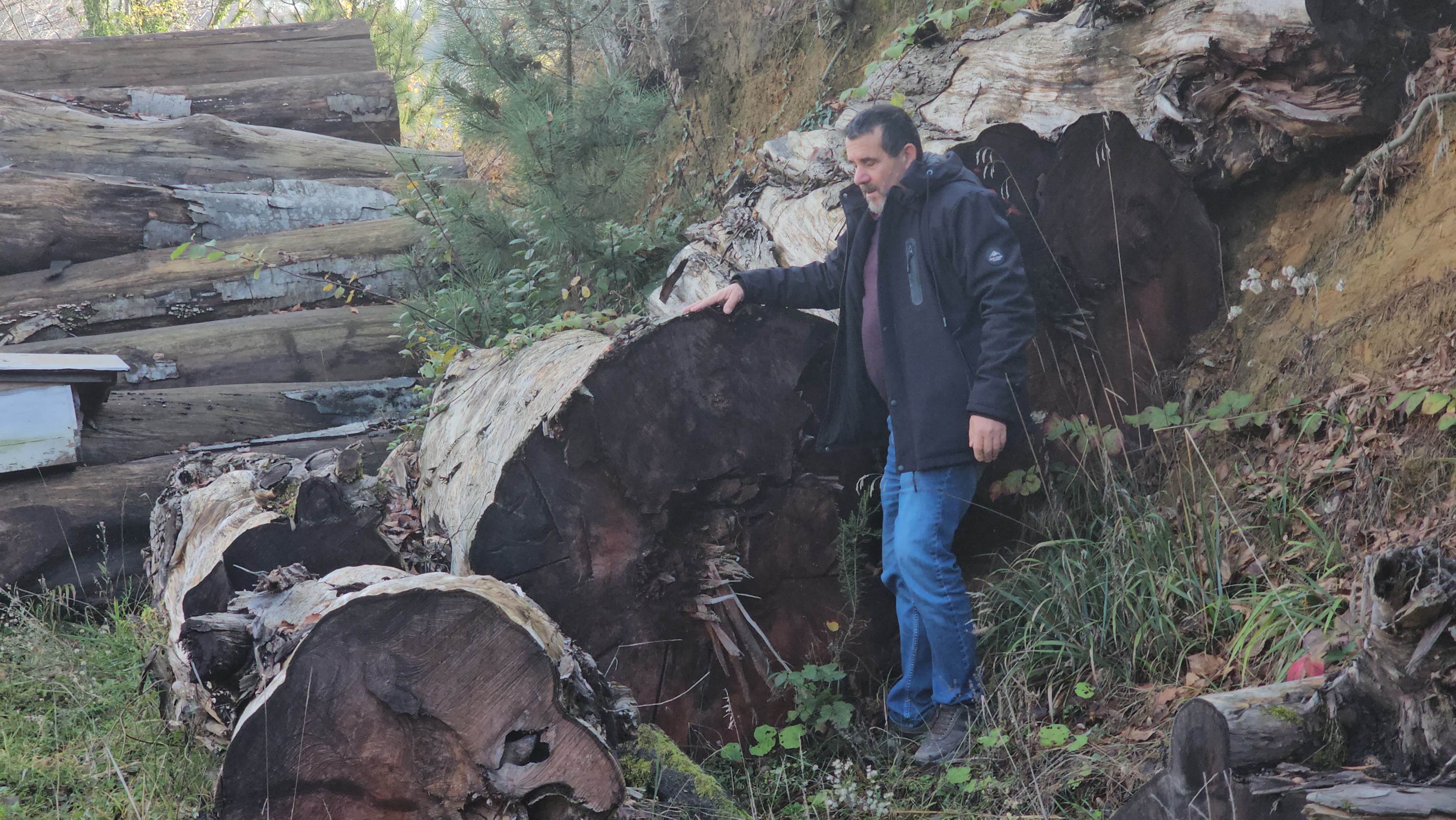 K E S I L E N 1183 Y A S I N D A K I P O R S U K A G A C I O D U 1069862 317473