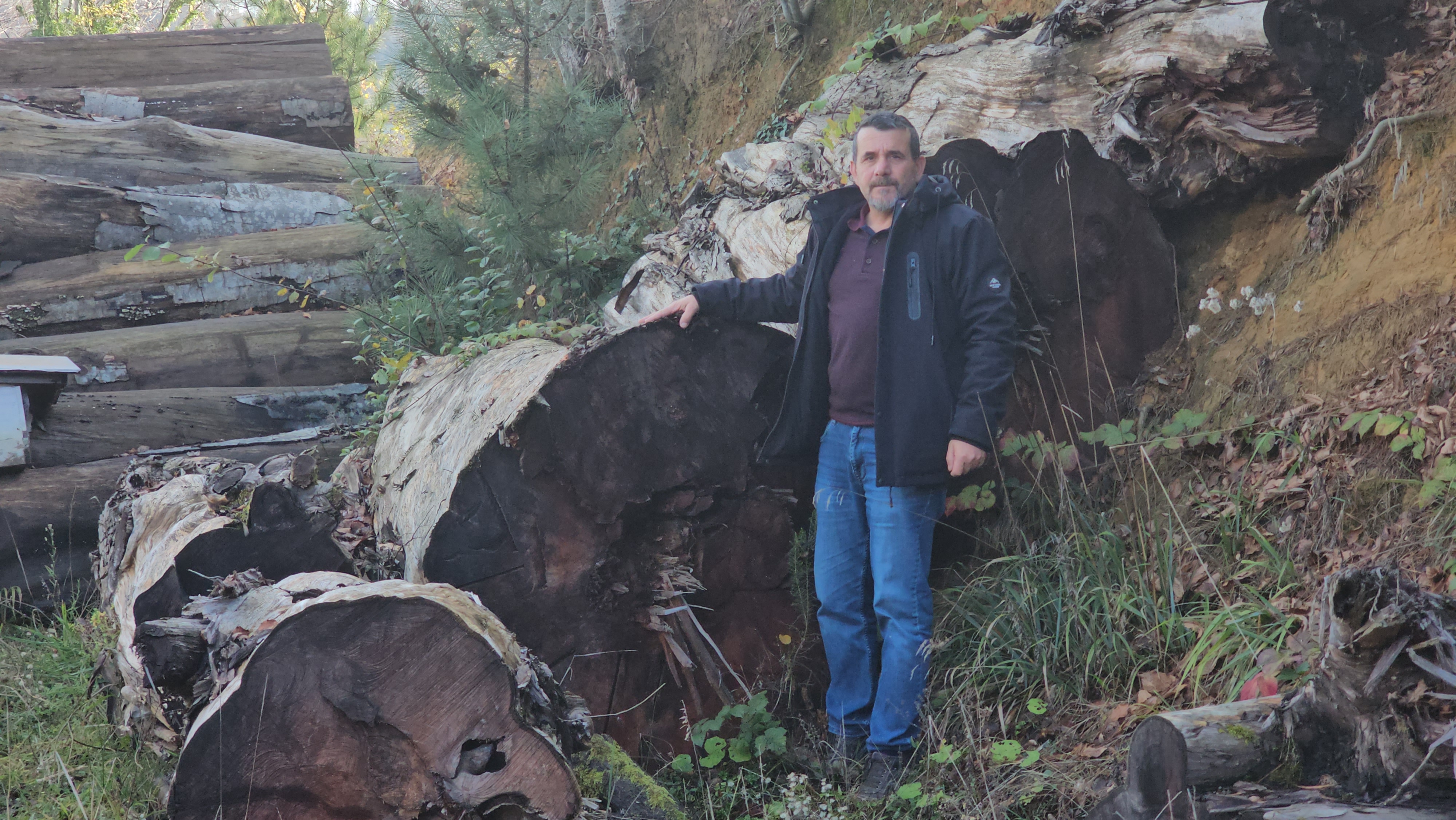 K E S I L E N 1183 Y A S I N D A K I P O R S U K A G A C I O D U 1069863 317473