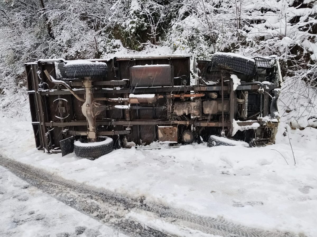 615990661 18027060527787721 6170180944903589603 N