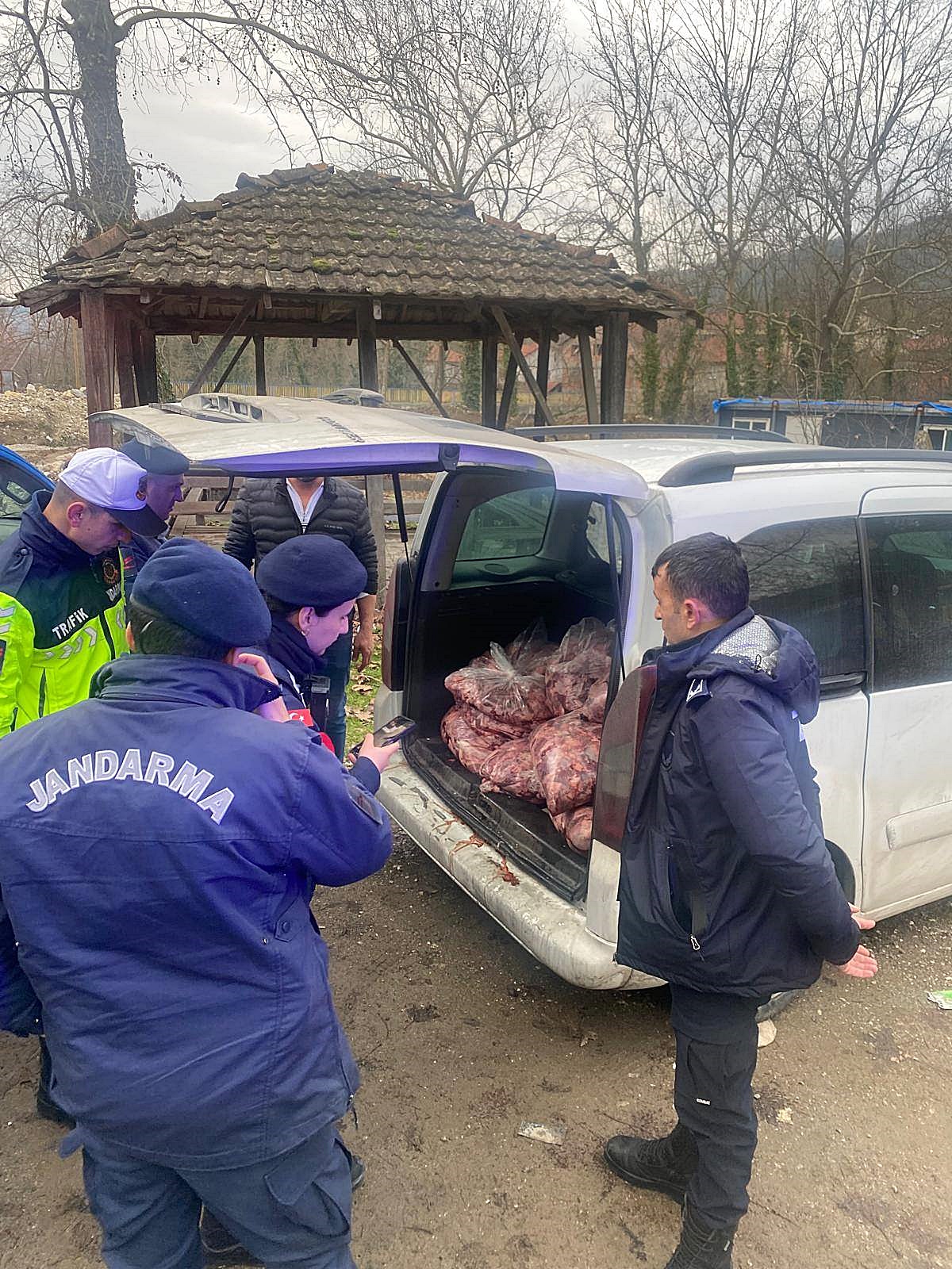 618153514 1310349284459196 2322907663426756271 N