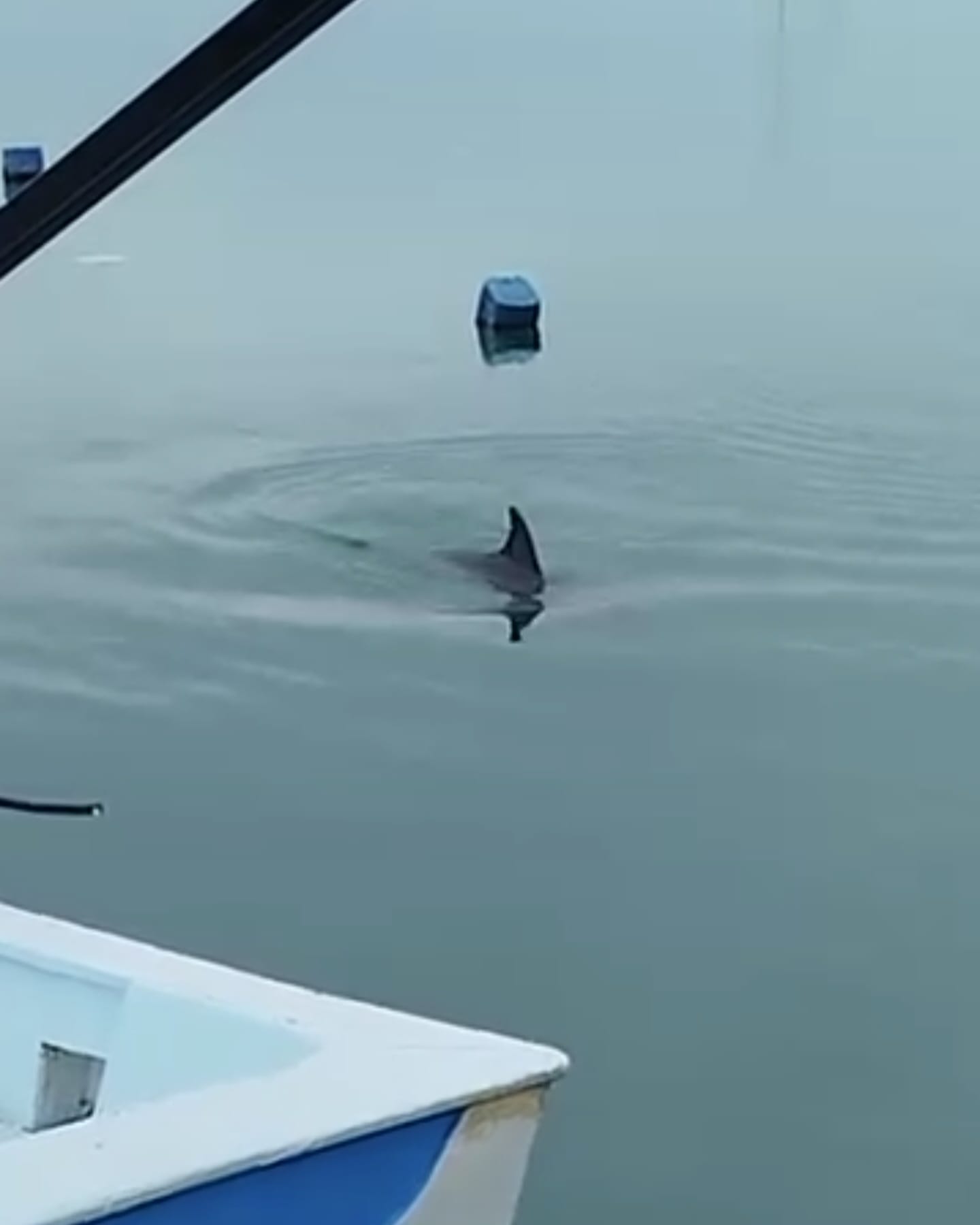 L I M A N D A M A H S U R K A L A N Y U N U S K U R T A R I L D I 1132614 336260