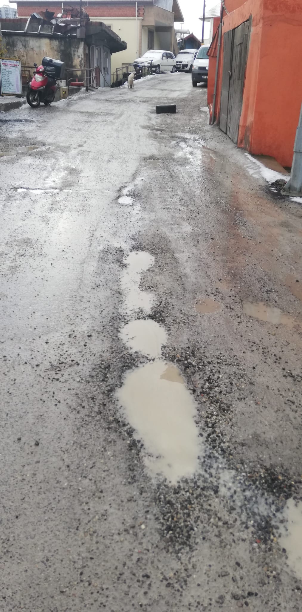 Whatsapp Image 2026 01 20 At 11.01.18 (3)