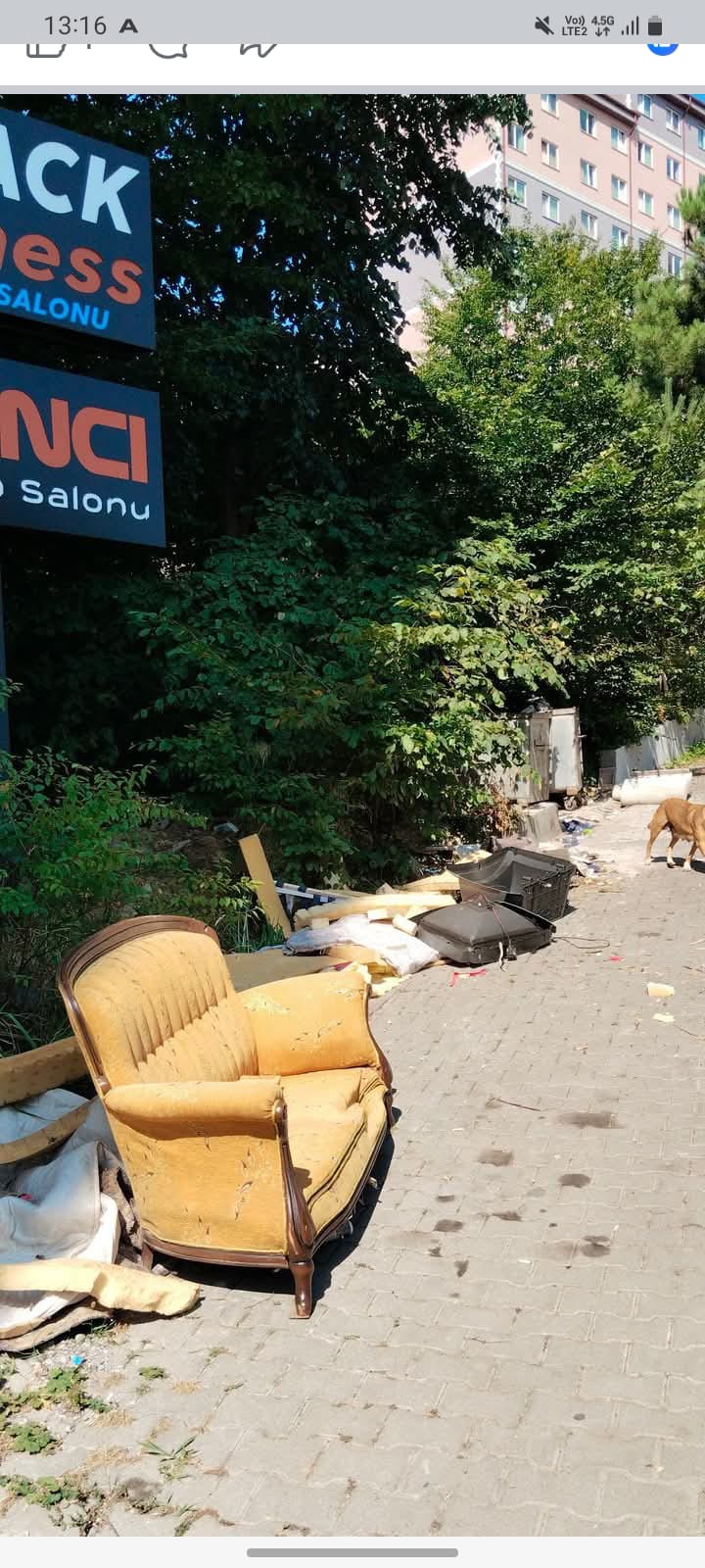 Whatsapp Image 2026 02 11 At 11.01.25 (1)