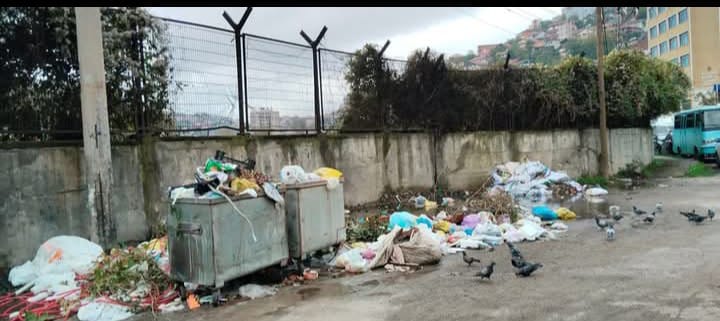 Whatsapp Image 2026 02 11 At 11.01.25