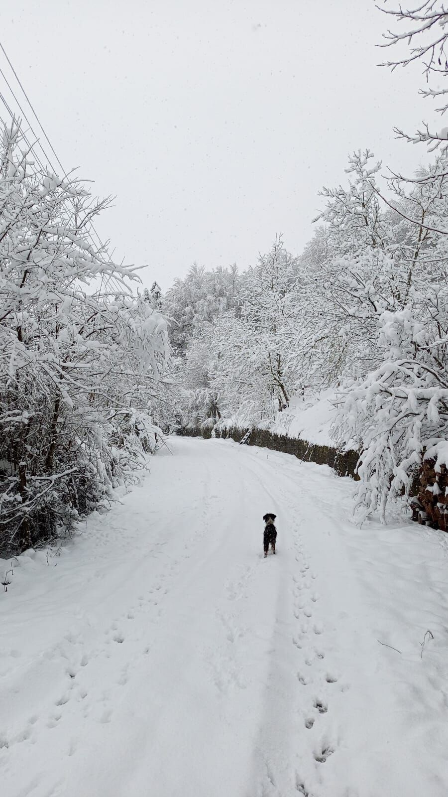 Whatsapp Image 2026 02 27 At 14.22.12