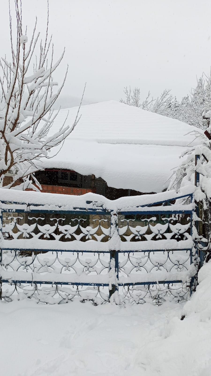 Whatsapp Image 2026 02 27 At 14.22.13 (1)