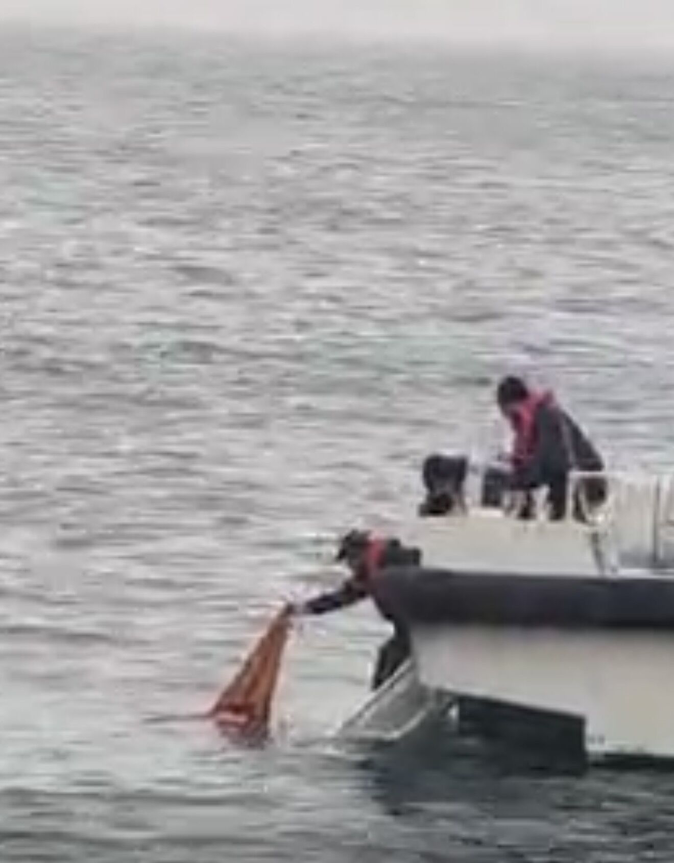 D E N I Z D E H A R E K E T S I Z H A L D E B U L U N A N K A D I N H 1224266 364024