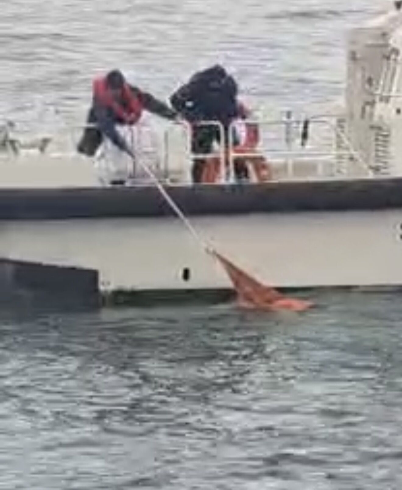 D E N I Z D E H A R E K E T S I Z H A L D E B U L U N A N K A D I N H 1224269 364024