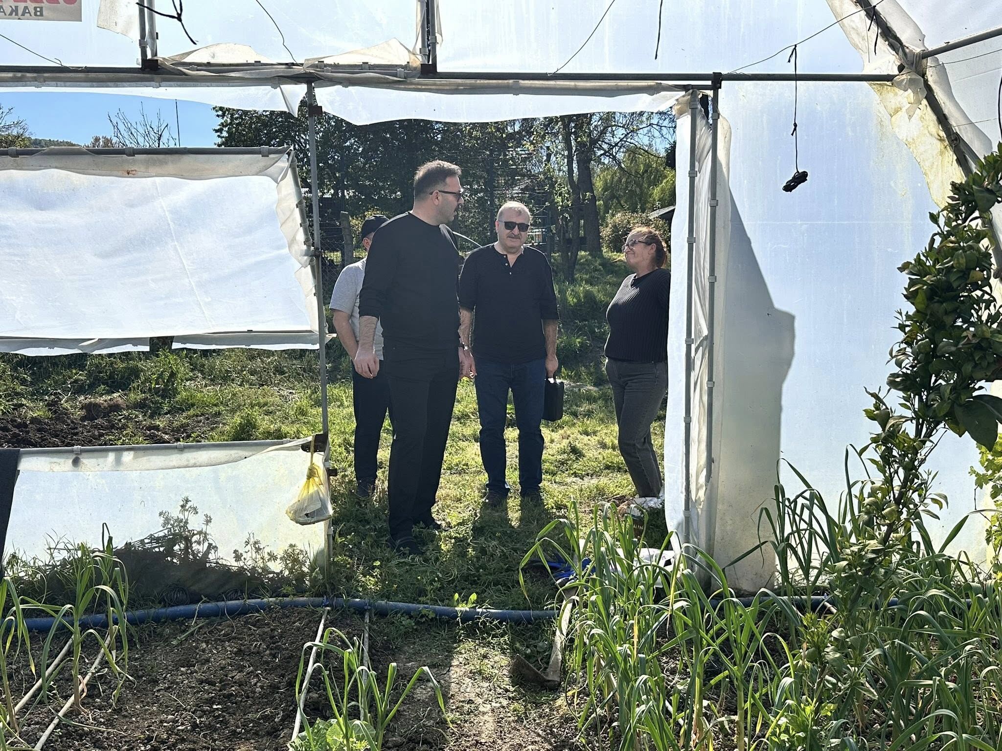 680012389 10235444678432402 5956960918066090110 N