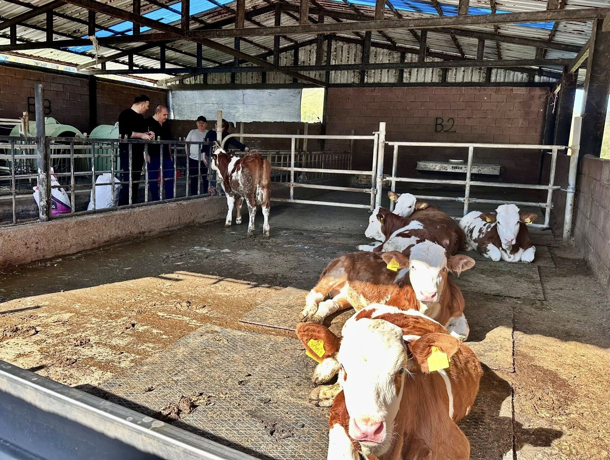 680012389 10235444681672483 695055100343238585 N