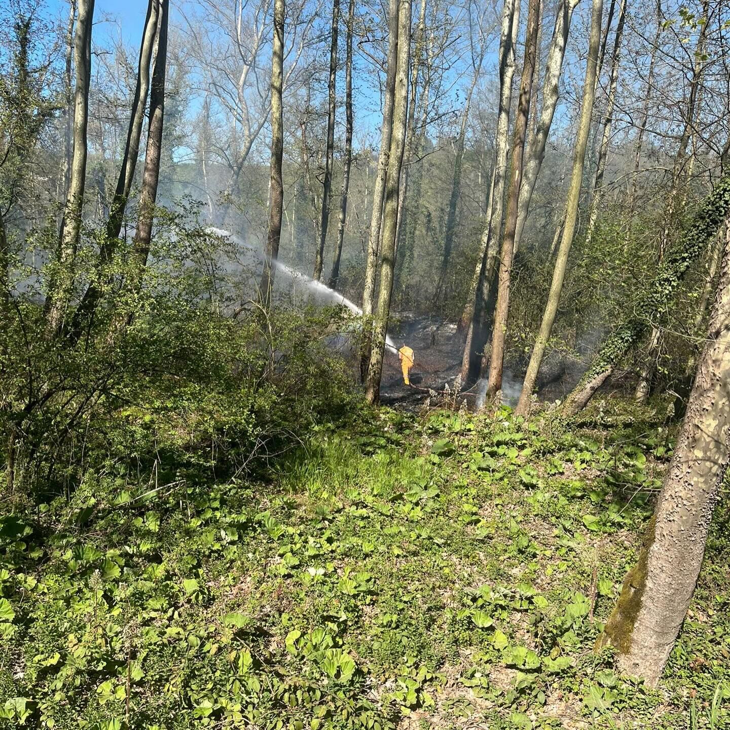 680693977 18040092890787721 8891047963983192446 N