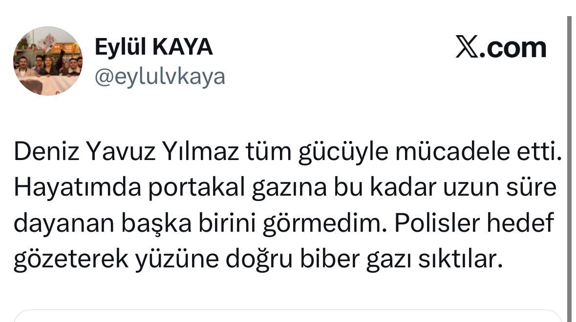 7Fe21608 A808 4D67 8198 Fb40Db06C1Aa