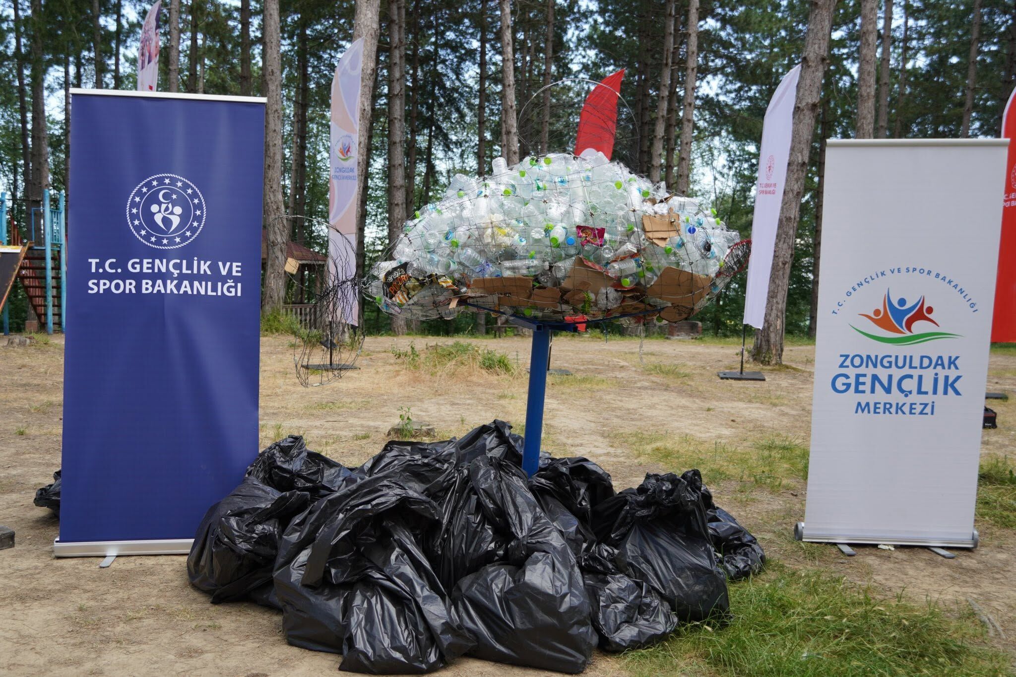 721119861 1449001663929613 4433443473996865482 N