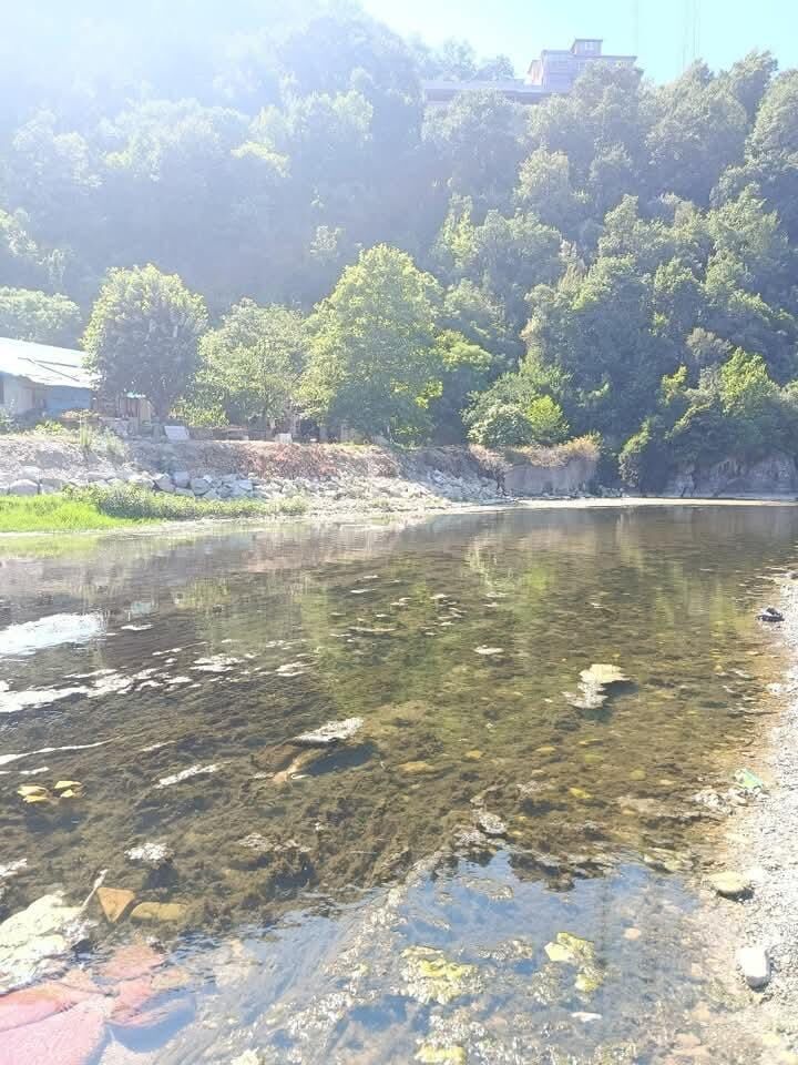 Whatsapp Image 2026 07 20 At 15.35.51 (1)