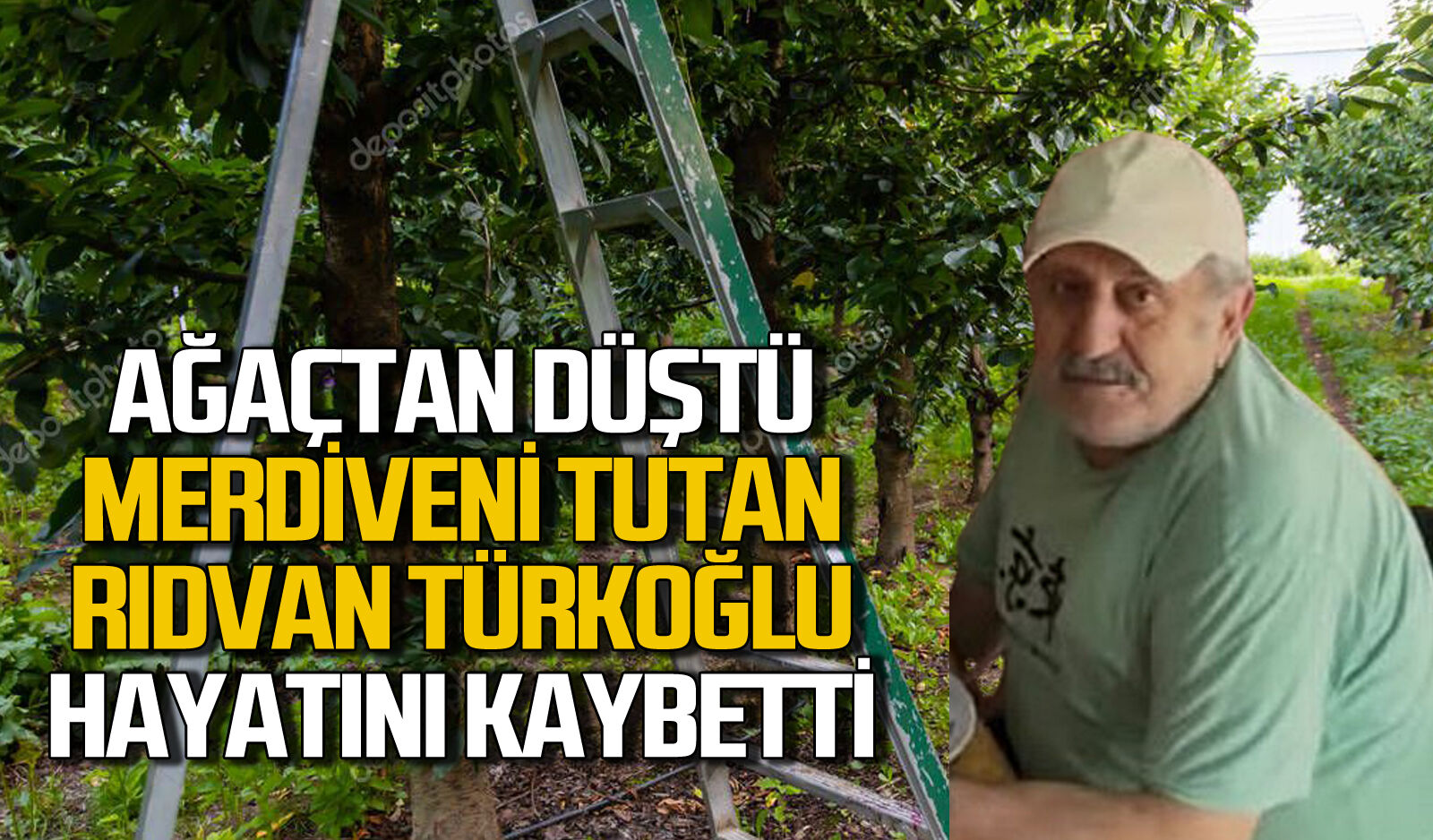 Ağaçtan düştü, merdiveni tutan kişi hayatını kaybetti