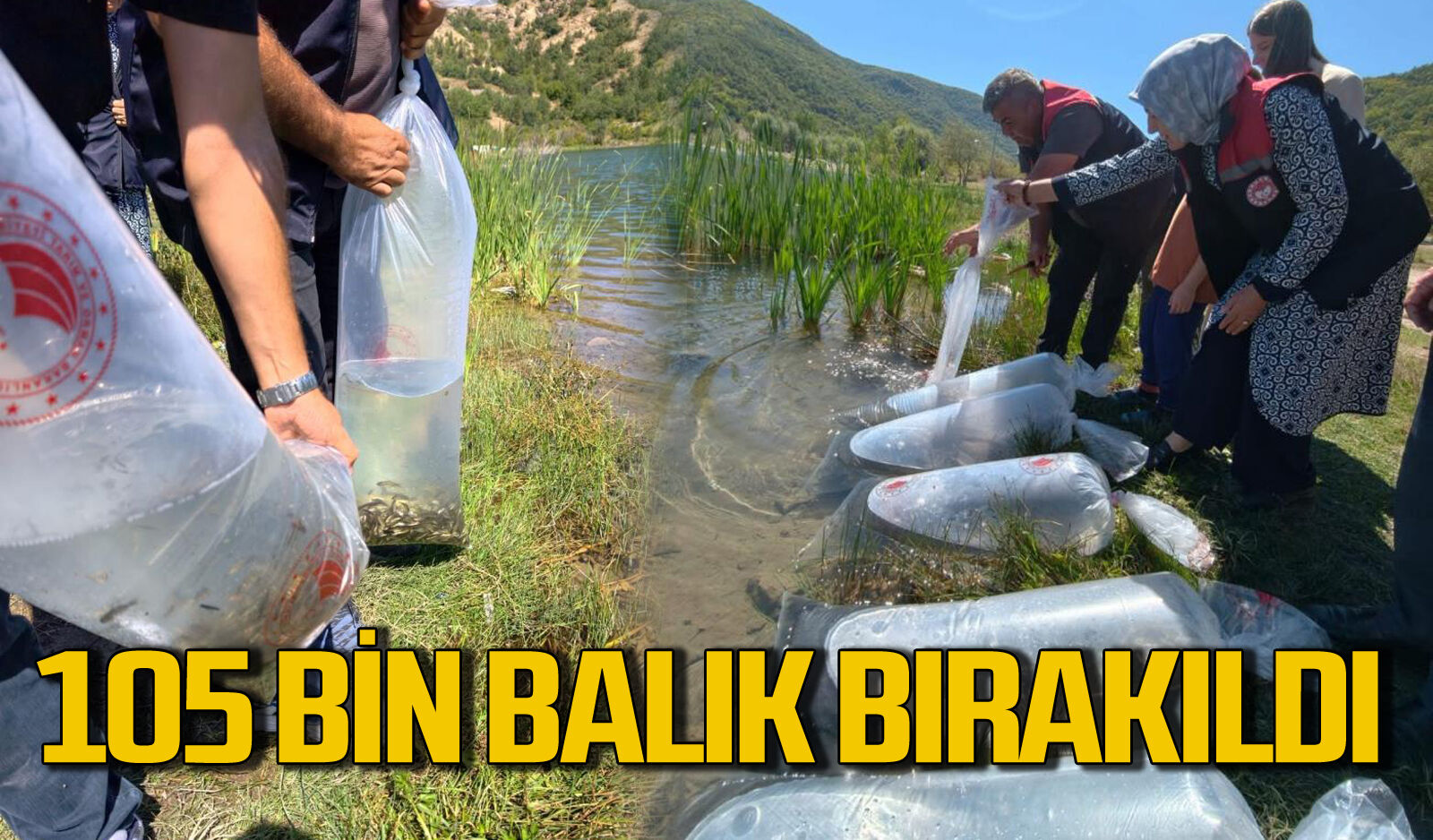 Göletlere 105 bin yavru balık bırakıldı